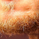 Illustration for article titled Whose Disgusting Baseball Chin Is This?